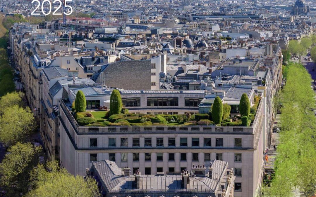 Transformation écologique et démocratie organisationnelle : retour sur le rapport d&rsquo;impact 2025 de The Swarm Initiative
